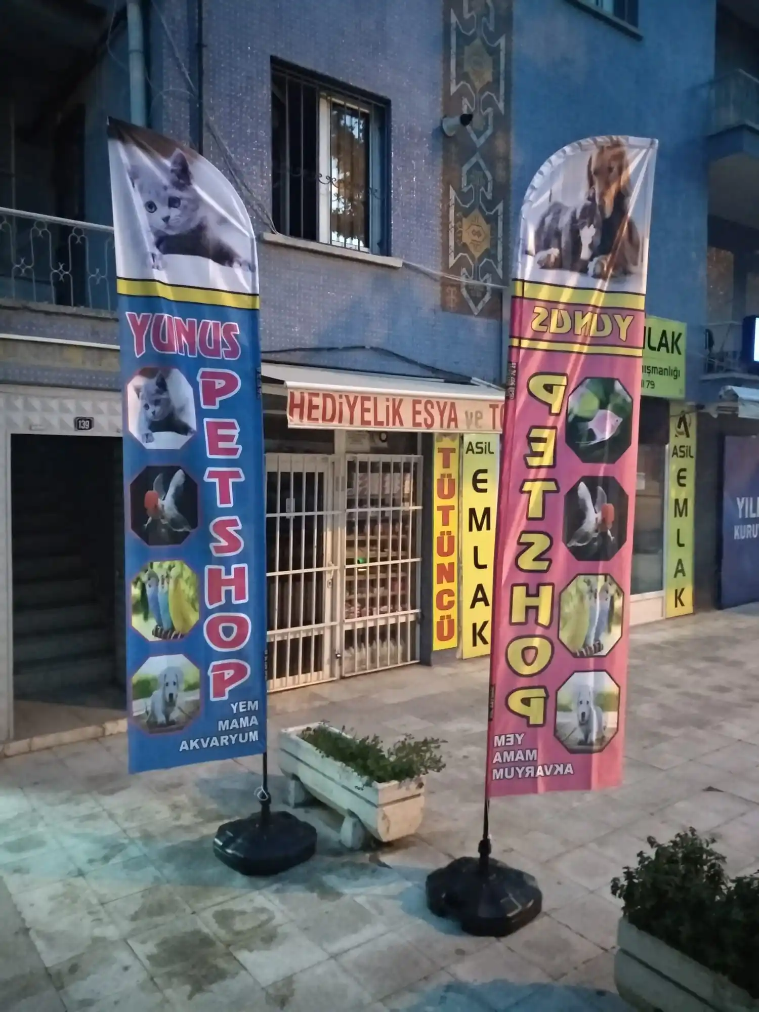 petshop-yelken-bayragi-10