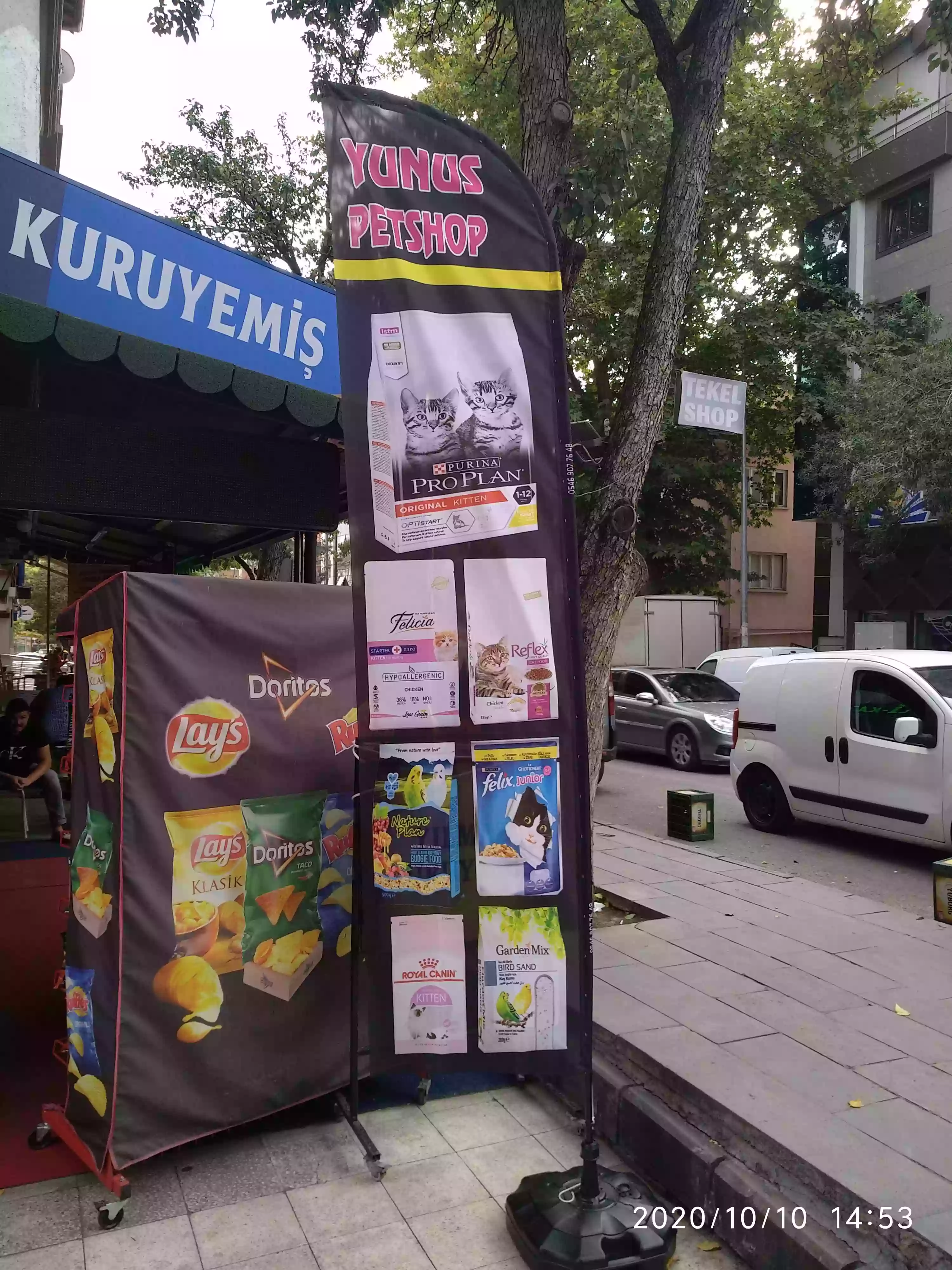 petshop-yelken-bayragi-19