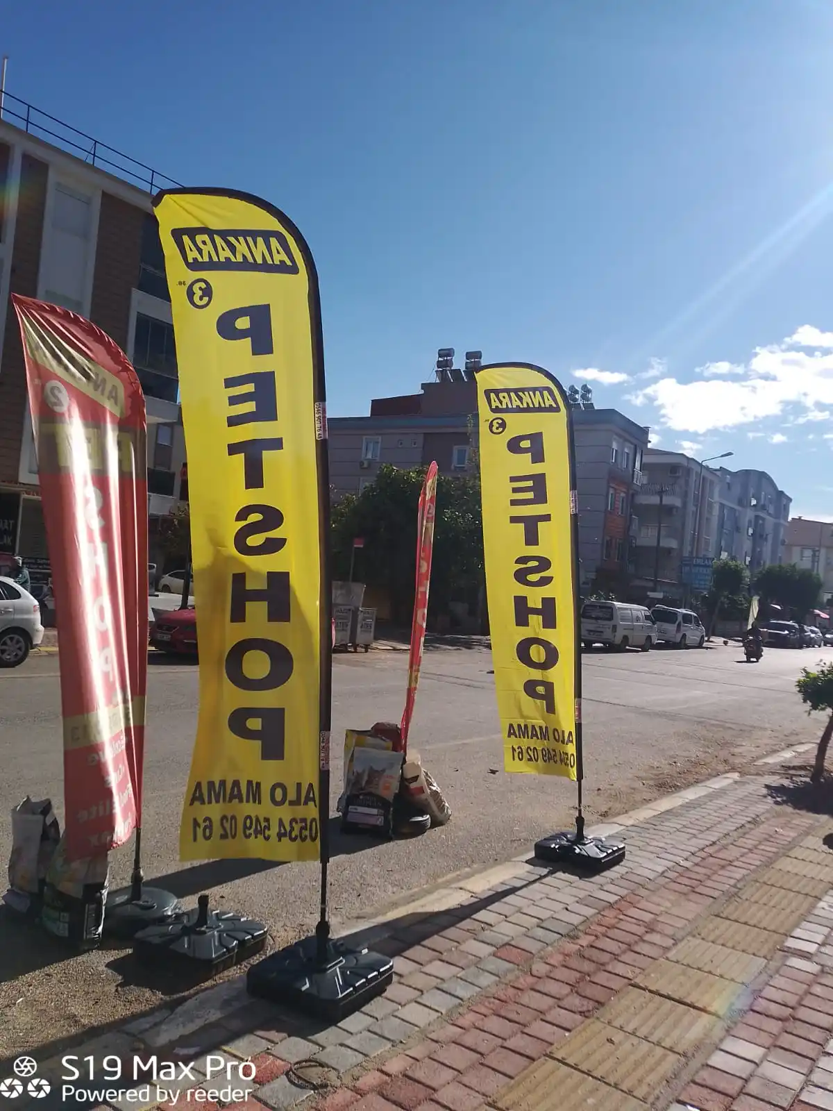 petshop-yelken-bayragi-24