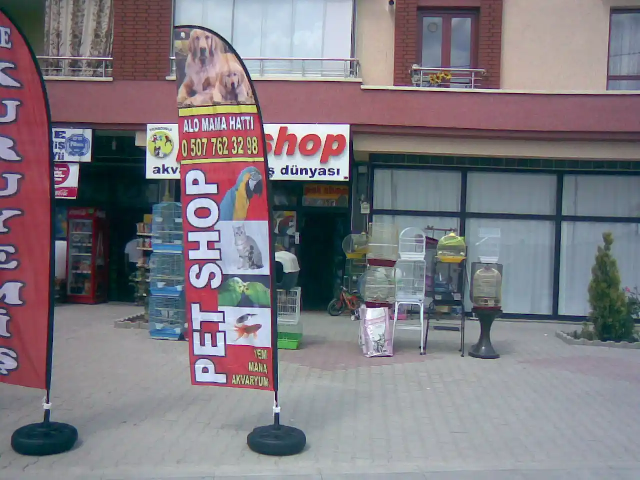 petshop-yelken-bayragi-34