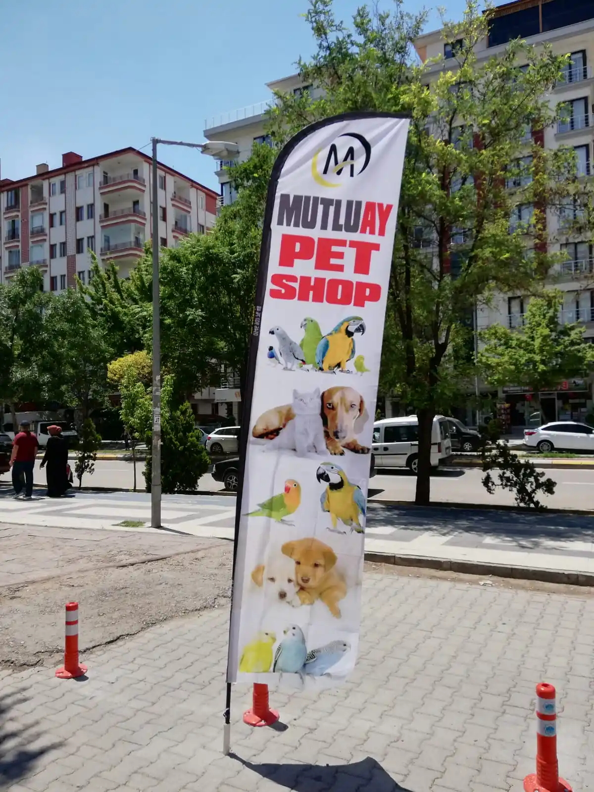 petshop-yelken-bayragi-6